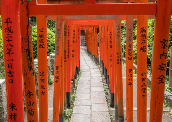 Puertas japonesas de Torii en el santuario de Nezu, Tokio —  Fotos de Stock