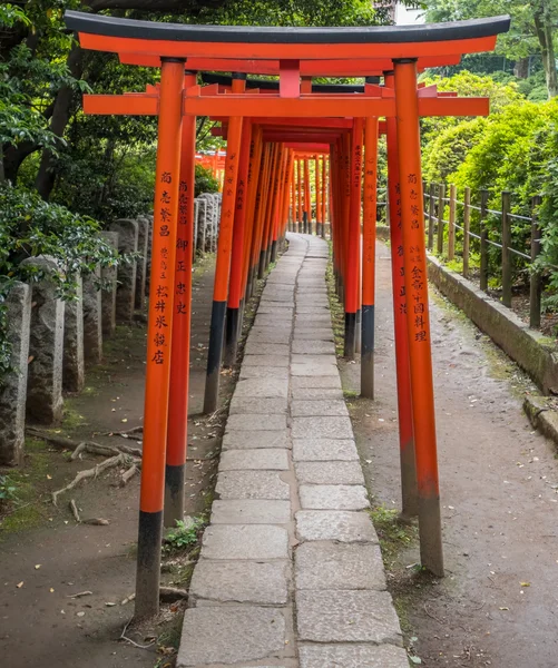 Japonské brány Toriiská svatyně ve Nezu, Tokio — Stock fotografie