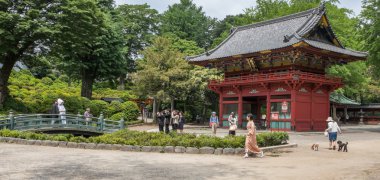 Japon çift düğün