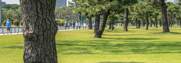 Turystów i mieszkańców o ogród Pałac Cesarski w Tokio — Zdjęcie stockowe
