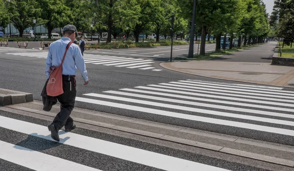 Turistas y lugareños en el recinto del Palacio Imperial de Tokio — Foto de Stock