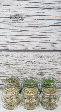 Kuru otlar çeşitli