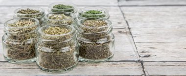 Kuru otlar çeşitli