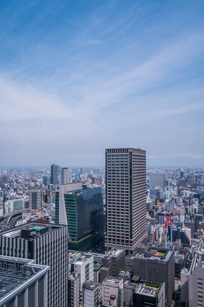 TOKYO, JAPAN - MAY 30TH, 2016. View of Tokyo buildings and skyline.