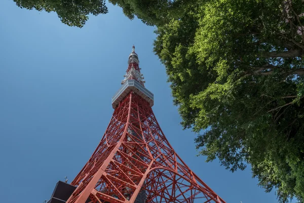 Tokió torony, Japán — Stock Fotó