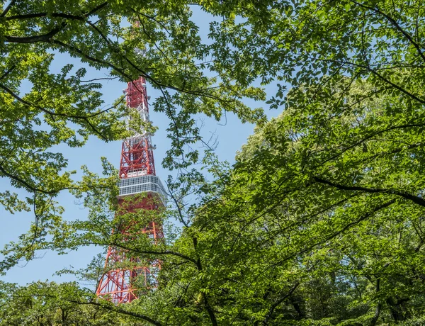 東京タワー,日本 — ストック写真