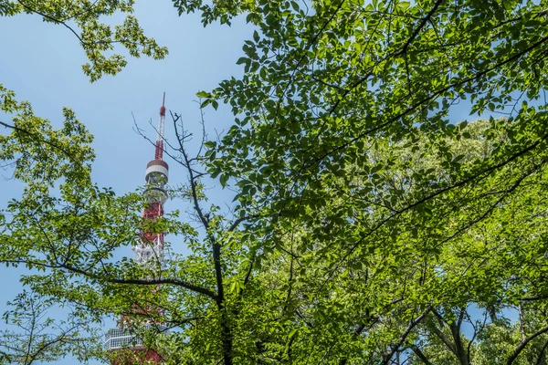 Tokyo Tower, Giappone — Foto Stock