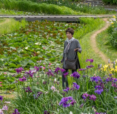 Yerli halk ve turistler Suigo Itako Iris çiçek Festivali sırasında.