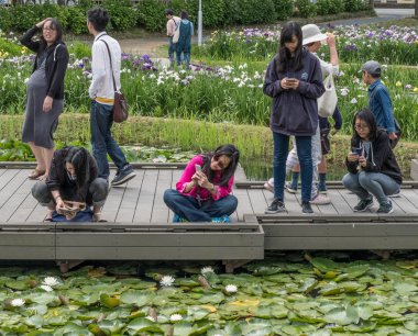 Yerli halk ve turistler Suigo Itako Iris çiçek Festivali sırasında.