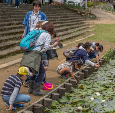 Yerli halk ve turistler Suigo Itako Iris çiçek Festivali sırasında.