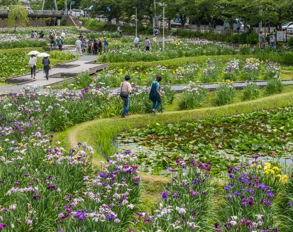 Locals en toeristen tijdens het jaarlijkse Suigo Itako Iris Flower Festival. — Stockfoto