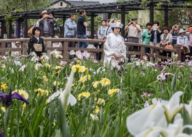 Geleneksel kostümlü Japon gelin