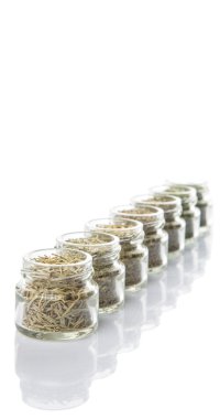 Kuru otlar çeşitli