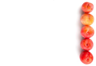 Japon kırmızı Erik