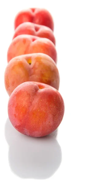 Japanese Red Plums — Stock Photo, Image