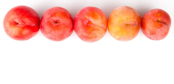 Japanese Red Plums — Stock Photo, Image