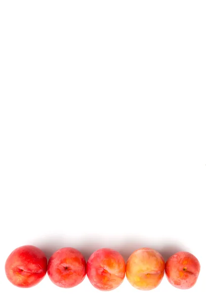 Ameixas vermelhas japonesas — Fotografia de Stock