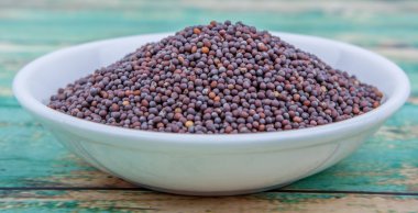 kahverengi hardal tohumu