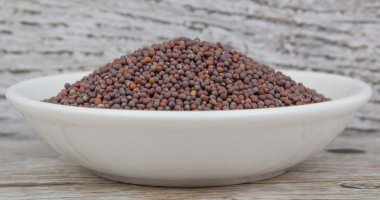 kahverengi hardal tohumu