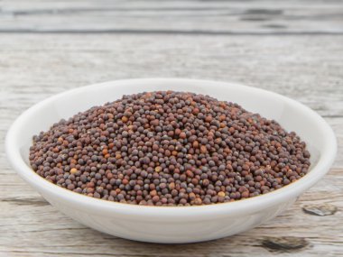 kahverengi hardal tohumu