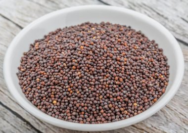 kahverengi hardal tohumu