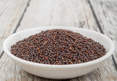 kahverengi hardal tohumu