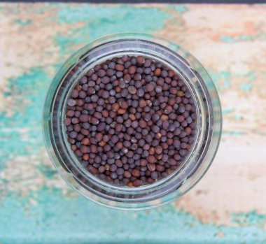 kahverengi hardal tohumu