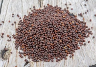 kahverengi hardal tohumu