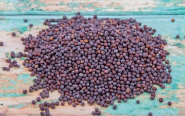 kahverengi hardal tohumu