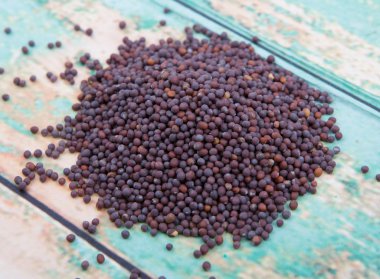 kahverengi hardal tohumu