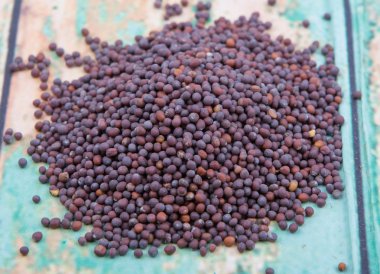 kahverengi hardal tohumu