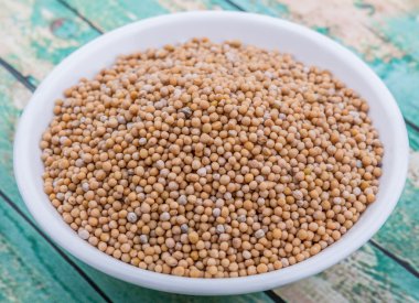 Hardal tohumu beyaz kase