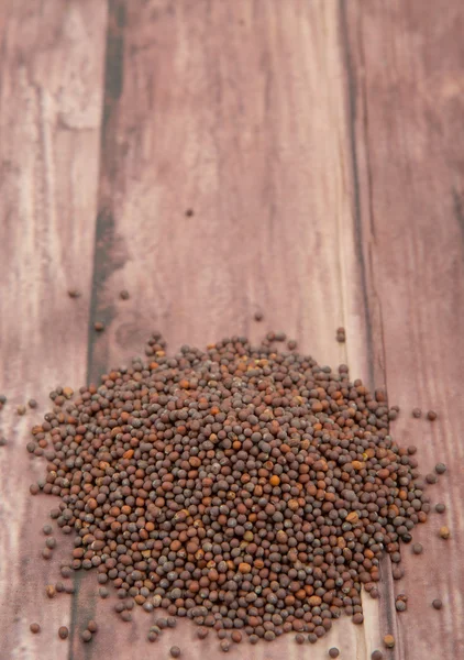 Kahverengi hardal tohumu — Stok fotoğraf