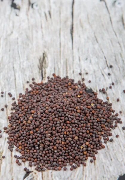Nasiona Gorczyca sarepska — Zdjęcie stockowe