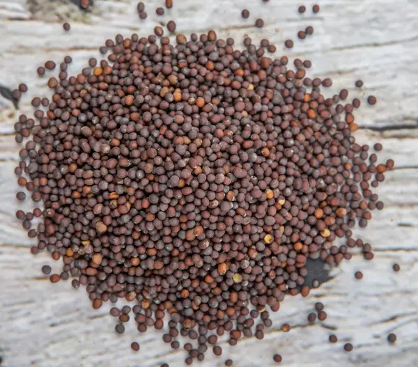 Semințe de muștar brun — Fotografie, imagine de stoc