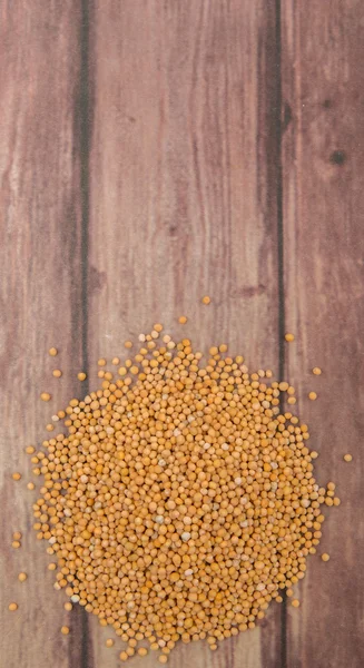 Semi di senape gialla — Foto Stock