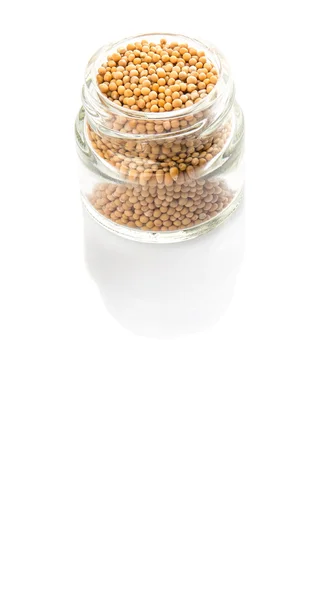 Mustard seeds in the glass jar — Stock Photo, Image