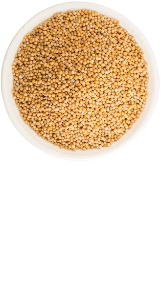 Semințe de muștar în castron alb — Fotografie, imagine de stoc