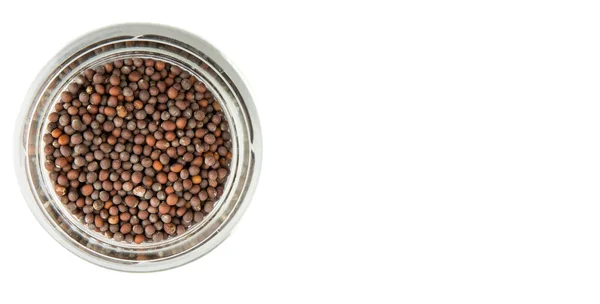 Mustard seeds in the glass jar — Stock Photo, Image