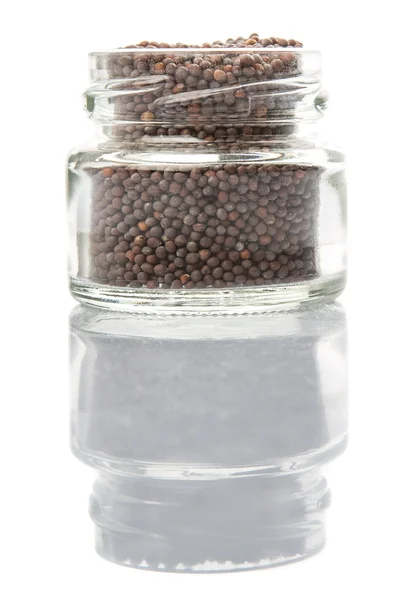 Гірчичне насіння в скляній банці — стокове фото