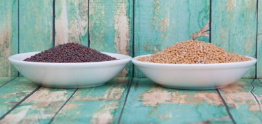 Sarı ve kahverengi hardal tohumu