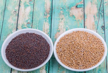 Sarı ve kahverengi hardal tohumu