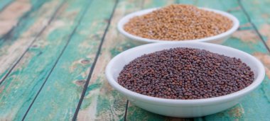 Sarı ve kahverengi hardal tohumu