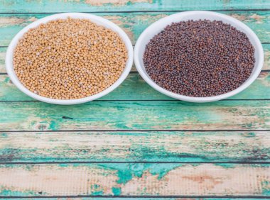 Sarı ve kahverengi hardal tohumu