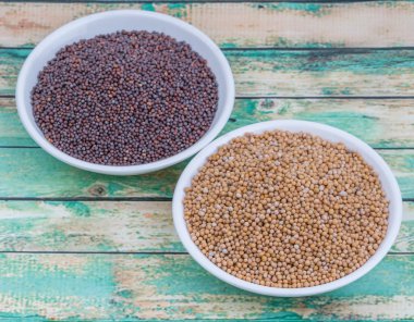 Sarı ve kahverengi hardal tohumu