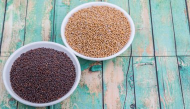 Sarı ve kahverengi hardal tohumu