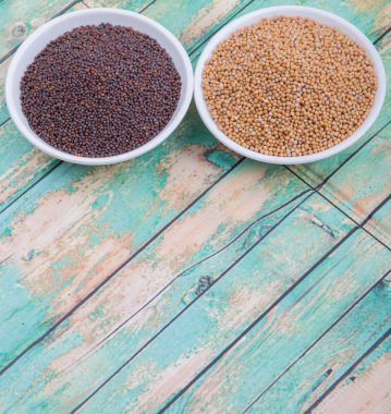 Sarı ve kahverengi hardal tohumu