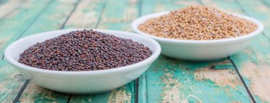 Sarı ve kahverengi hardal tohumu