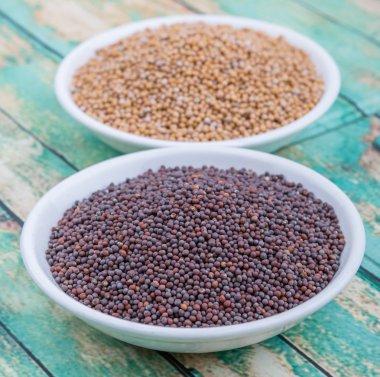 Sarı ve kahverengi hardal tohumu