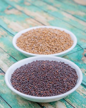 Sarı ve kahverengi hardal tohumu